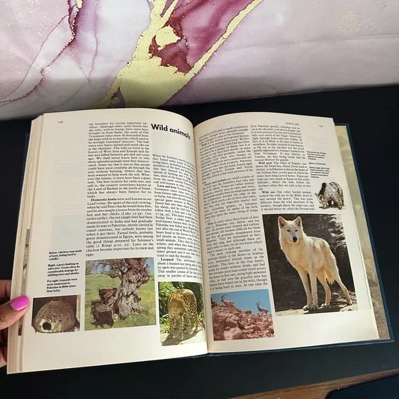 VINTAGE 1982 - NELSONS BIBLE ENCYCLOPEDIA FOR THE FAMILY HARDCOVER BOOK - Picture 9 of 10